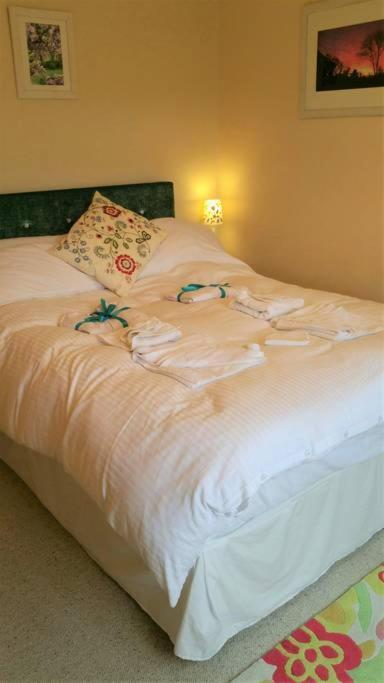 Bed and Breakfast Horsna Parc Retreat Saint Tudy Exteriér fotografie
