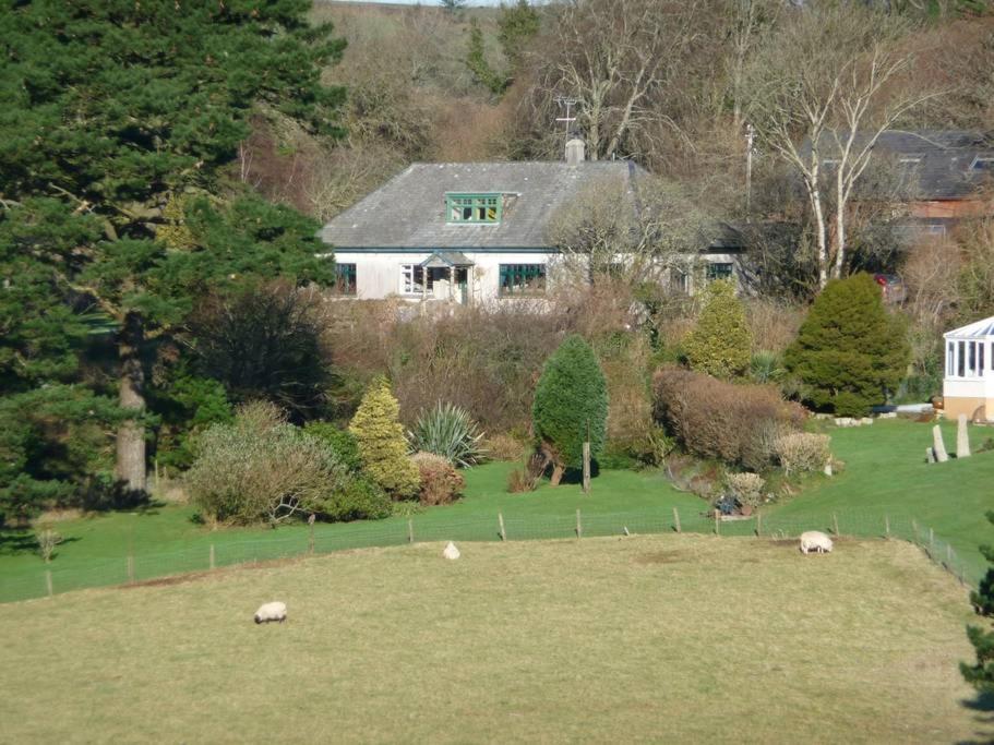 Bed and Breakfast Horsna Parc Retreat Saint Tudy Exteriér fotografie