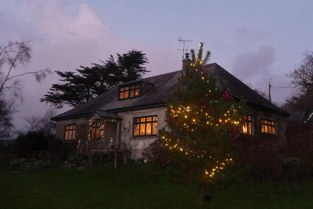 Bed and Breakfast Horsna Parc Retreat Saint Tudy Exteriér fotografie