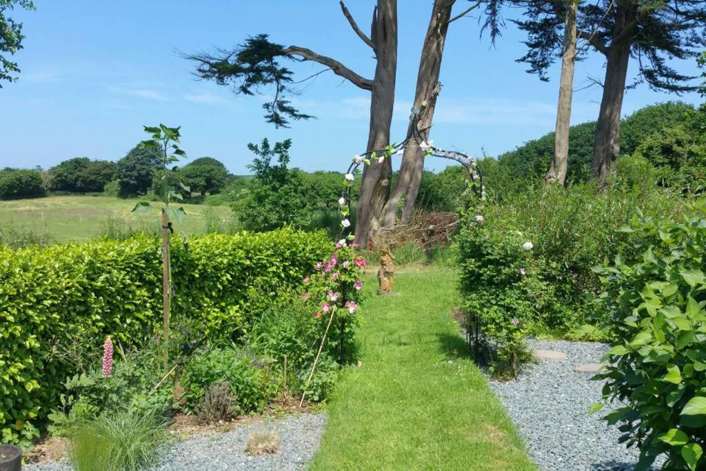 Bed and Breakfast Horsna Parc Retreat Saint Tudy Exteriér fotografie