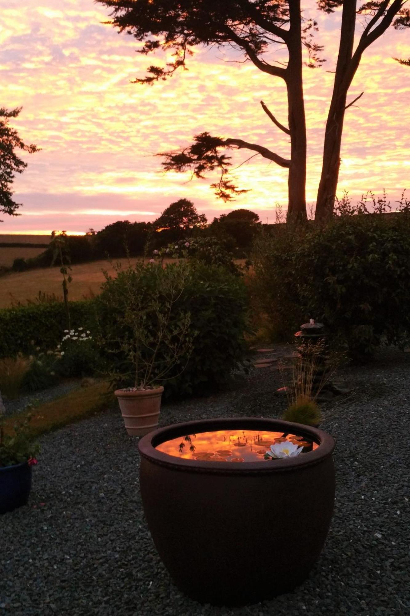 Bed and Breakfast Horsna Parc Retreat Saint Tudy Exteriér fotografie